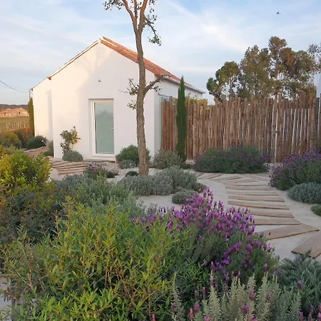 Casa Calmar Villa Porto Covo Exterior photo